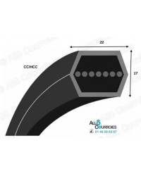 COURROIE HEXAGONAL CC128