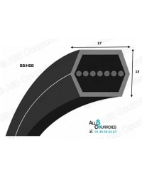 COURROIE HEXAGONAL BB81