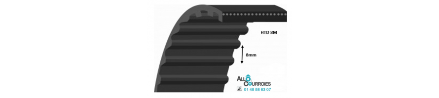 Simple dentée renforcée 8MGT Carbon