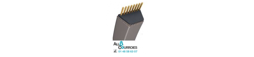 Courroie de tondeuse Kevlar 3L-4L-5L| Livraison 24h | Allocourroies