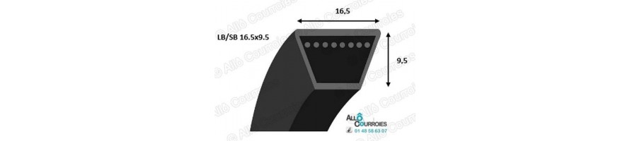 Courroie Trapézoïdale Renforcée Kevlar LB (SB)