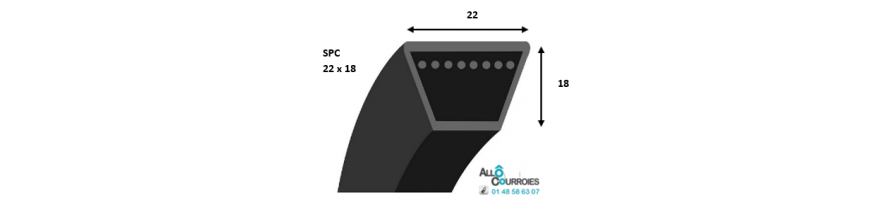 COURROIE Trapezoidale Lisse SPC (22 x 8 mm) MINI PRIX-LIVRAISON RAPIDE