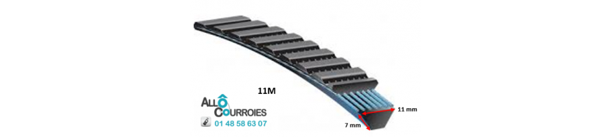 Courroie Type Banflex Polyflex - 11 M