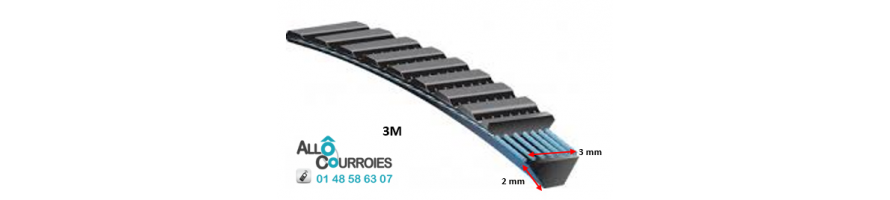 Courroie Type Banflex Polyflex - 3 M | Allocourroies.com