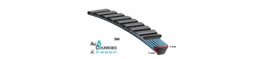 Courroie Type Banflex Polyflex - 5 M
