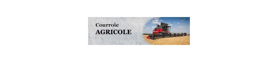 Courroie Agriculture | Tous Modéles|Livraison rapide| Allocourroies