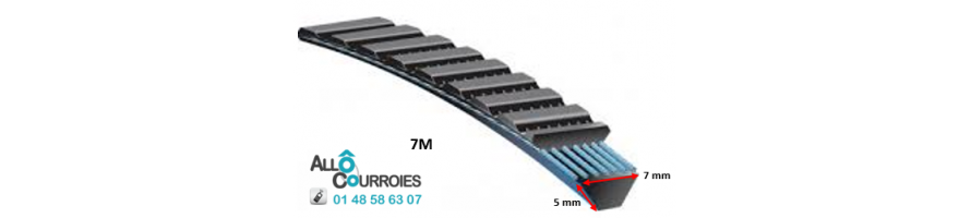Courroie Type Banflex Polyflex - 7 M (dim: 5x7 mm) | Allocourroies.com