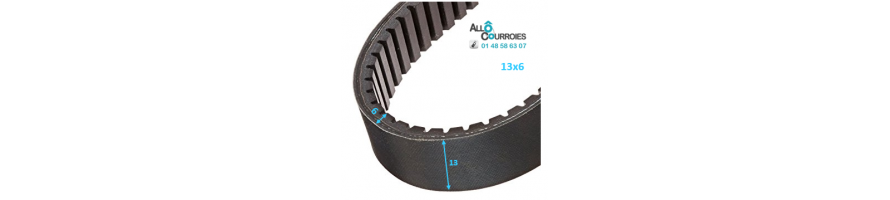 Courroie de variateur 13x6