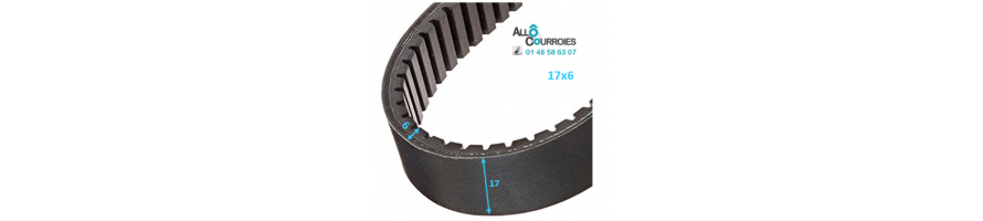 Courroie de variateur 17x6