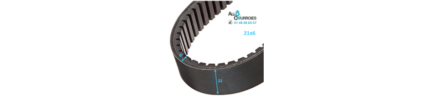 Courroie de variateur 21x6