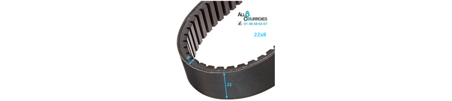 Courroie de variateur 22x8