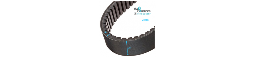 Courroie de variateur 28x8