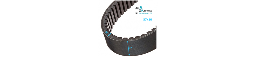 Courroie de variateur 37x10