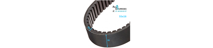 Courroie de variateur 55x16