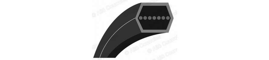 Courroie tondeuse hexagonale (section AA - BB - CC) | Allocourroies.com