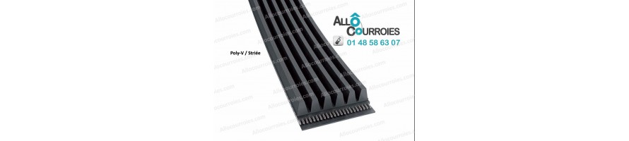 COURROIE Poly-V-Profil H/PH-J/PJ-K/PK-L/PL-M/PM| Allocourroies.com