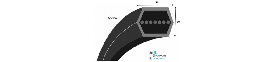 SECTION AA