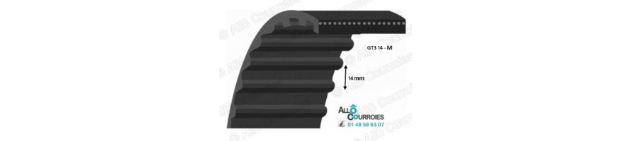 Courroie Simple Dentée Renforcée GT Carbon