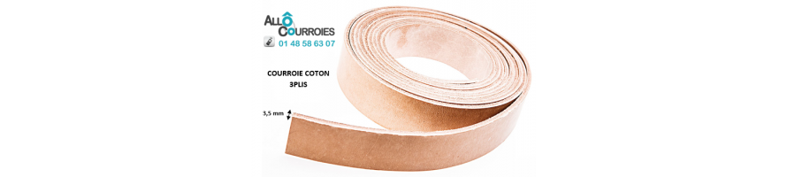 Courroies Plates Coton Type 3 Plis 