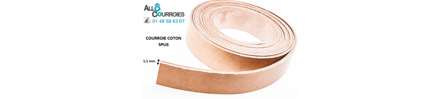 Courroies Plates Coton Type 5 Plis 