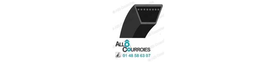 Courroie Trapézoïdale | Tous les modèles | ALLO COURROIES